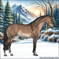 Horse Color:Brown Dun Sabino 