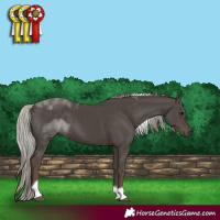 Horse Color:Silver Black Tobiano 