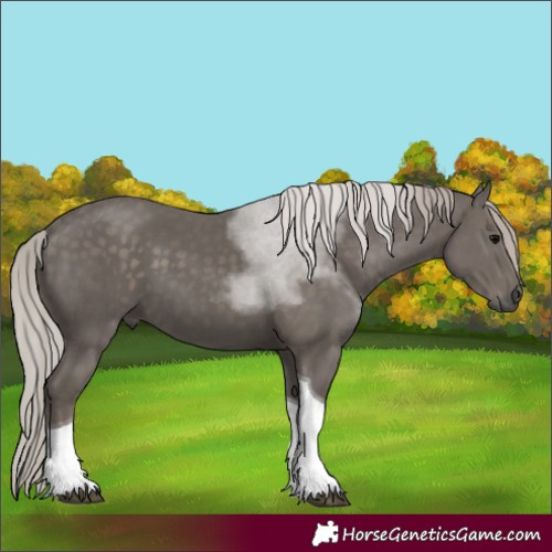 Horse Color:Silver Black Tobiano