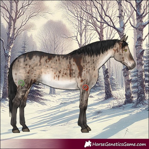 Horse Color:Brown Dun Brindle 
