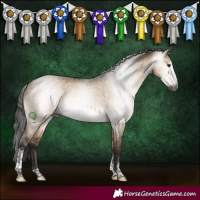 Horse Color:Gray Bay Dun Sabino Brindle