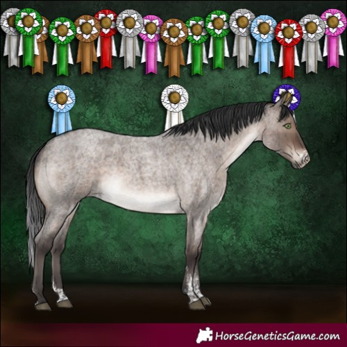 Horse Color:Brown Roan Dun Mushroom Sabino Brindle