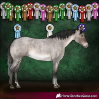 Horse Color:Brown Roan Dun Mushroom Sabino Brindle