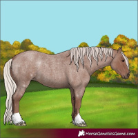 Horse Color:Chocolate Silver Blue Roan 