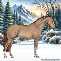 Horse Color:Red Dun 