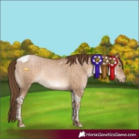 Horse Color:Brown Pearl Dun Tobiano Rabicano Brindle 