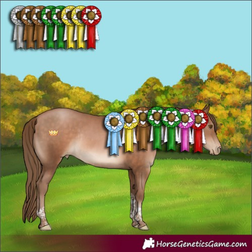 Horse Color:Brown Pearl Tobiano Rabicano 