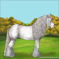 Horse Color:White Spotted Silver Grullo 