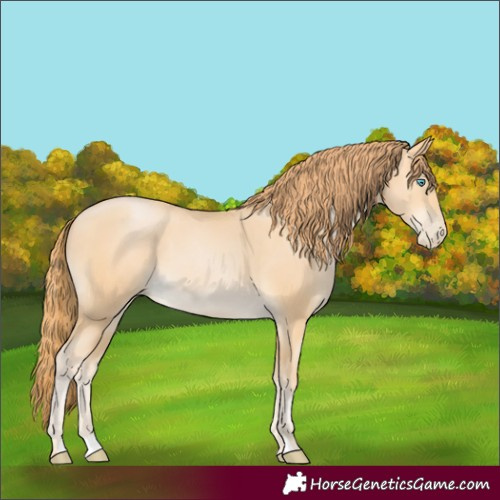 Horse Color:Buckskin Pearl
