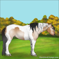 Horse Color:Gray Bay Dun Tobiano 