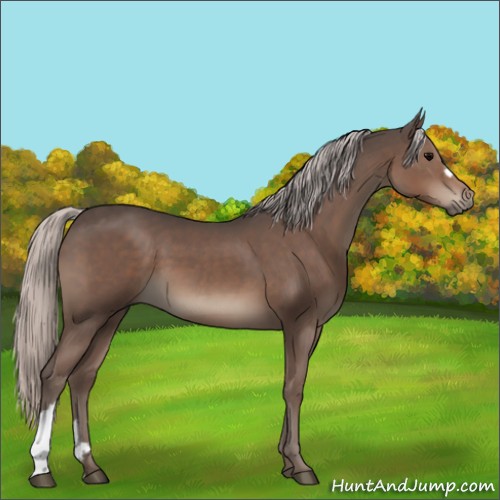 Horse Color:Silver Black 