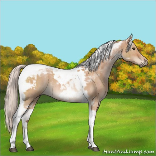 Horse Color:Silver Brown Dun Tobiano Brindle