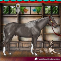 Horse Color:Silver Black Tobiano 