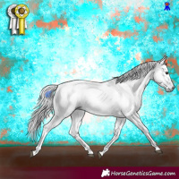 Horse Color:Gray Silver Black Tobiano 