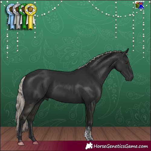 Horse Color:Gray Liver Chestnut Mushroom Tobiano 