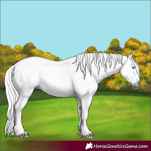 Horse Color:Gray Silver Amber Cream Champagne Roan Dun Splash Tobiano Frame Appaloosa Rabicano 
