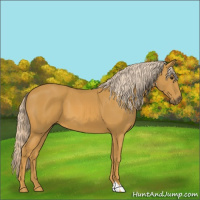 Horse Color:Palomino 