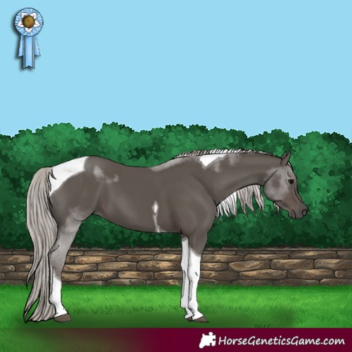 Horse Color:Silver Black Tobiano