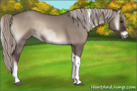 Horse Color:Silver Grullo Onyx Tobiano 
