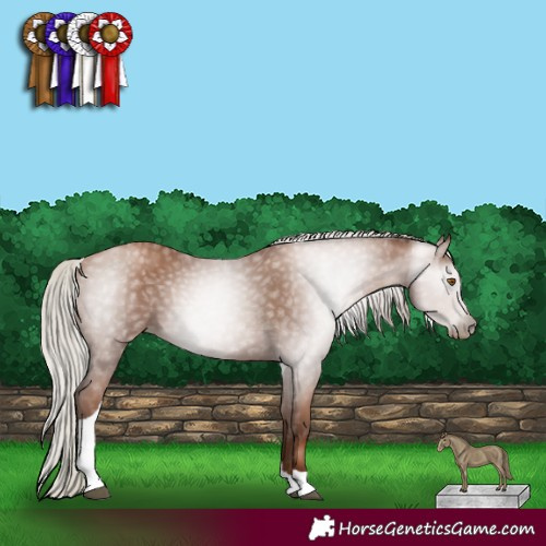 Horse Color:Gray Silver Black Pearl Tobiano 