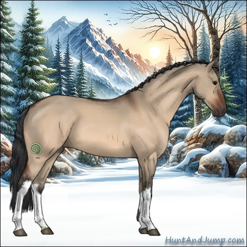 Horse Color:Bay Dun