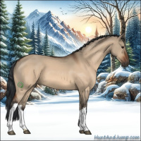 Horse Color:Bay Dun