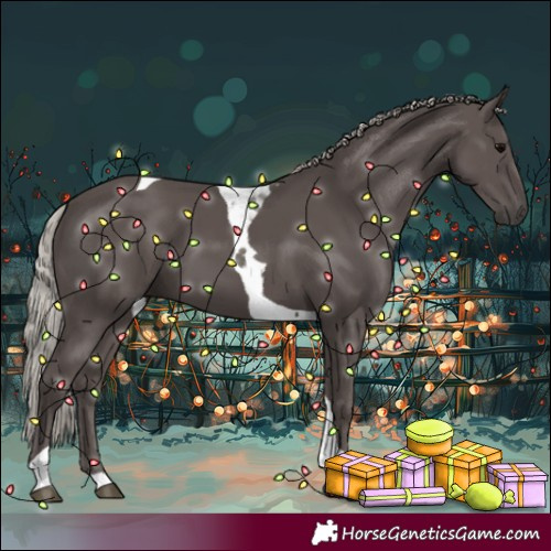 Horse Color:Silver Black Tobiano