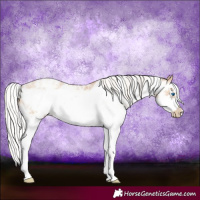 Horse Color:Silver Buckskin Pearl Sabino Frame 