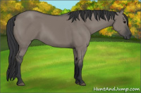 Horse Color:Grullo Sabino Rabicano 