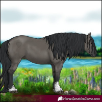 Horse Color:Grullo Sabino Rabicano