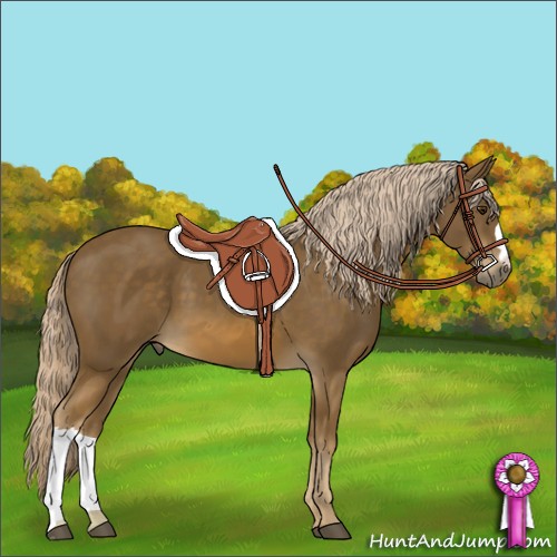 Horse Color:Chocolate Palomino 