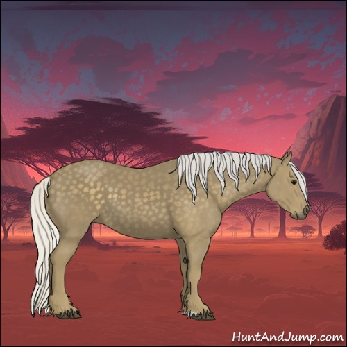 Horse Color:Silver Smoky Black