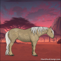 Horse Color:Silver Smoky Black 