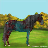 Horse Color:ERROR: UNKNOWN ANOMALY and ERROR: UNKNOWN ANOMALY