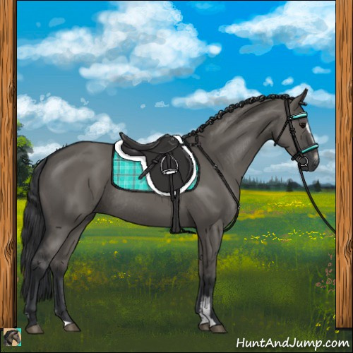 Horse Color:Grullo Sabino Rabicano 