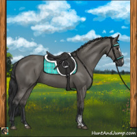 Horse Color:Grullo Sabino Rabicano