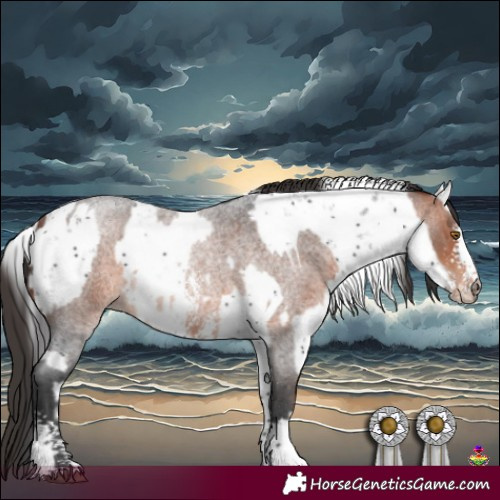 Horse Color:Smoky Black Sabino Rabicano  and Bay Roan Sabino Rabicano 