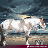 Horse Color:Smoky Black Sabino Rabicano  and Bay Roan Sabino Rabicano 