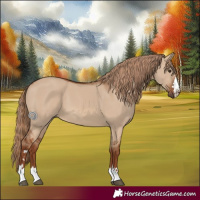 Horse Color:Red Dun 