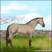 Horse Color:Liver Red Dun 