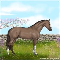 Horse Color:Liver Red Dun 