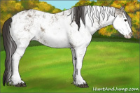 Horse Color:Smoky Grullo Sabino Rabicano 