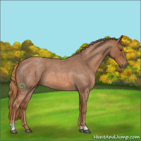Horse Color:Red Roan Tobiano 