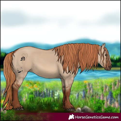 Horse Color:Red Dun 