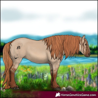 Horse Color:Red Dun 