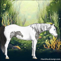 Horse Color:Gray Smoky Black Ice Splash Tobiano