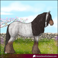 Horse Color:Liver Red Roan 