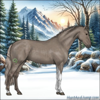 Horse Color:Silver Grullo Roan Tobiano 