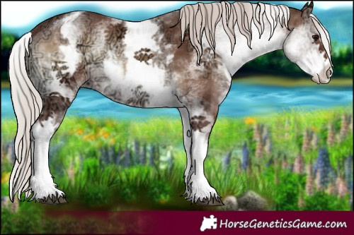 Horse Color:White Spotted Silver Blue Onyx Ice