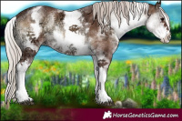 Horse Color:White Spotted Silver Blue Onyx Ice 